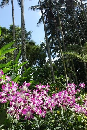 Singapur Singapur