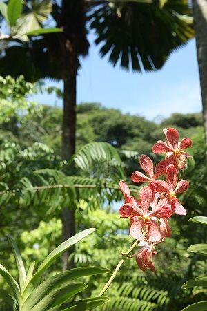 Singapur Singapur