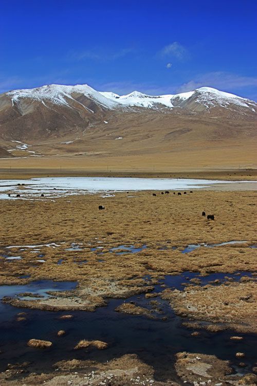 Tren de Pekin a Lhasa Tren de Pekin a Lhasa