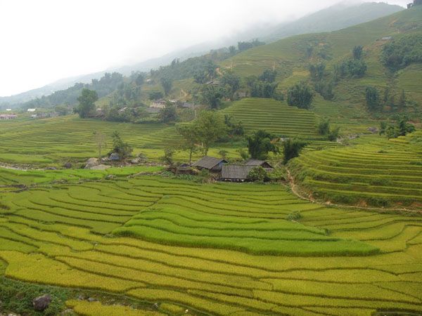 Tren a Sapa Tren a Sapa